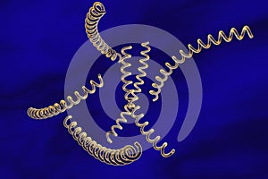 Bacteria which cause syphilis, Treponema pallidum