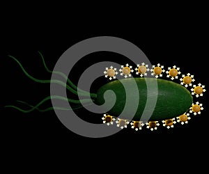 Bacterial Biohybrid electrostatic 3d rendered