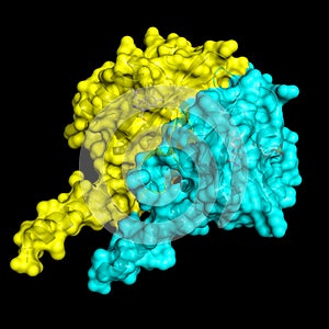 Bacterial blue light receptor YtvA