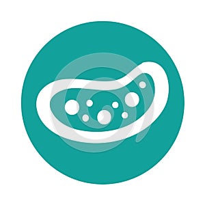 Bacterial cell structure icon