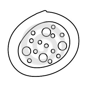 Bacterial cell structure icon