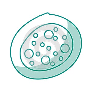 Bacterial cell structure icon