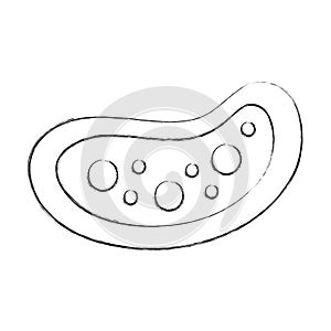 Bacterial cell structure icon