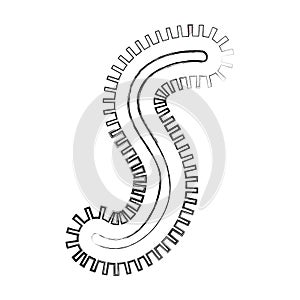 Bacterial cell structure icon