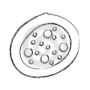 Bacterial cell structure icon