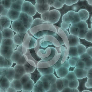 Bacterial cells photo