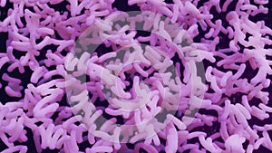 Bacterial Colony 3d illustration