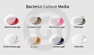Bacterial culture media