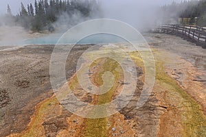 Bacterial deposits near a geyser