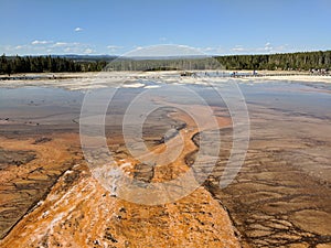 Bacterial mats with pedestrian bridge and forest in Yellowstone National Park