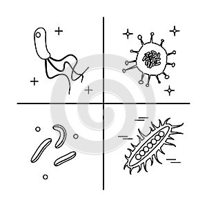 Bacterial microorganism variety