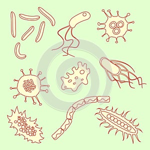 Bacterial microorganism variety