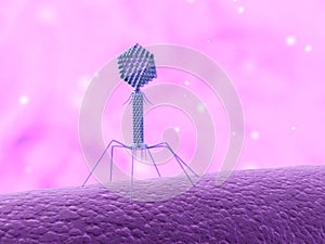 Bacteriophage photo
