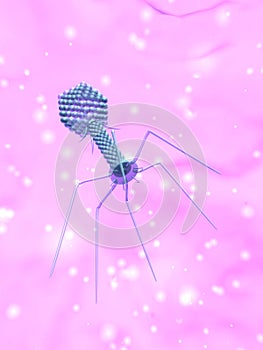 Bacteriophage photo