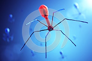 Bacteriophage attacking bacteria. photo
