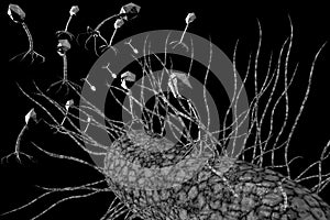 Bacteriophage Virus 3D Illustration