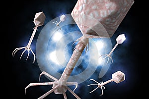 Bacteriophage Virus 3D Illustration