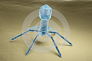 Bacteriophage virus electron microscopy image