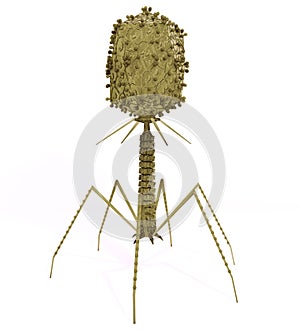 Bacteriophage Virus photo