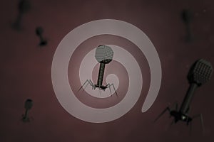 Bacteriophage viruses composing