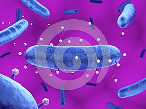 Bacteriophages attacking bacteria