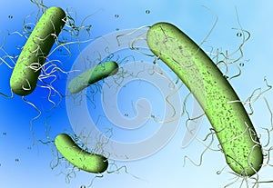 Bacterium clostridium difficile, scientific 3D illustration photo