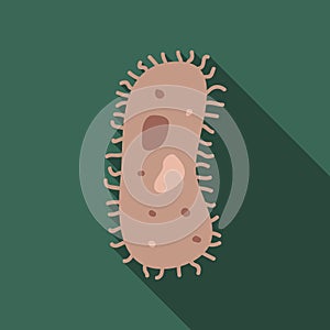 Bacterium flat icon with long shadow. Biology icon pictogram vector. Bacterium, Protozoa, virus, germ, medical, biology concept