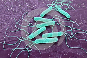 Bacterium, Helicobacter pylori, 3d render