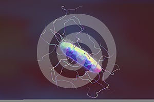 Bacterium with pilli and flagella