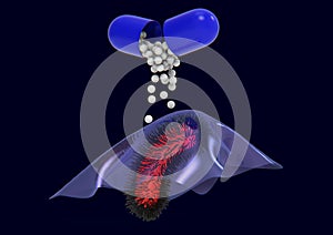 Bacterium resistant to antibiotic under biofilm. Medical 3D rendering illustration