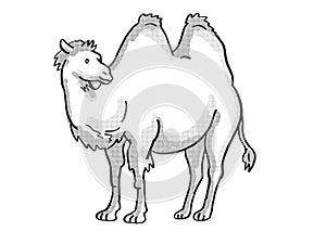 Bactrian Camel or Camelus Bactrianus Endangered Wildlife Cartoon Mono Line Drawing