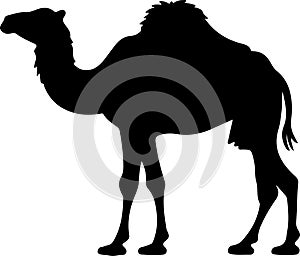 bactriancamel Black Silhouette Generative Ai