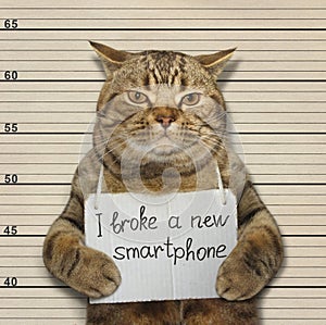 Bad cat broke a smartphone