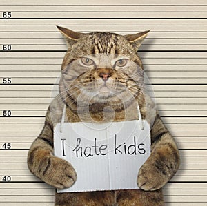 Bad cat hate kids