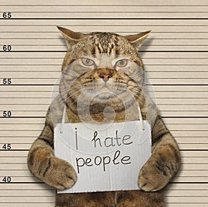 Bad cat hates people