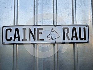 Bad dog - Caine rau