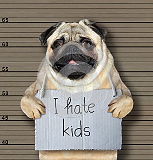Bad dog hates kids
