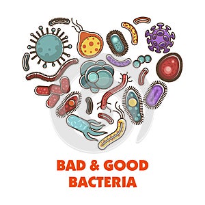 Bad and good bacteria poster with microelements in heart