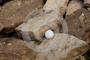 Bad lie 3 photo