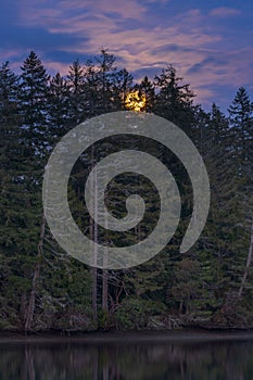 Bad Moon Rising Over Mud Bay