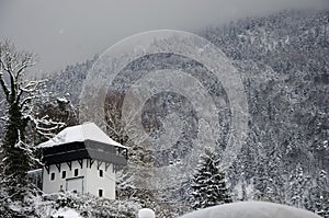 Bad Reichenhall, castle tower in winter background with snowy forest.