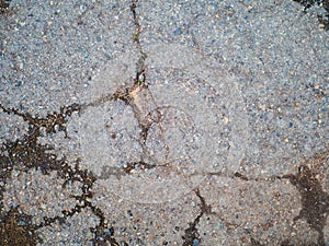 Bad road. Bad asphalt. Web of beautiful bright deep cracks in the asphalt. Road in cracks was overgrown with moss. Road