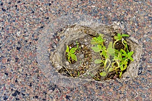 Bad road surface. Emergency condition of the road. Background, selective focus
