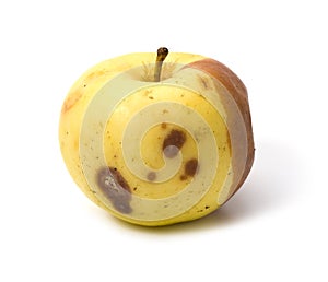 Bad rotten apple isolated