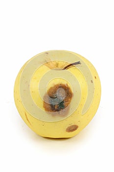 Bad rotten apple isolated