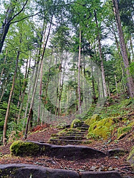 Bad Teinach Zavelstein natural stairs