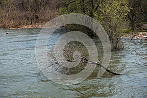 bad weather led to flooding and flooded the nearest grove