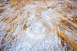 Bad weather winter meadow landscape