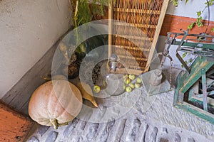 Bad Windsheim, Germany - 16 October 2019: View on the stone floor and autumn decoration with flowers, pumpkins and fruits