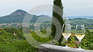 Two glasses of fine riesling wine in the Badacsony region in Hungary out in the nature photo